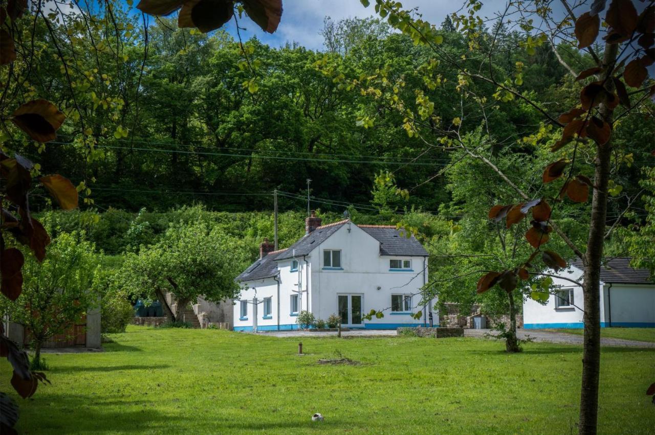 Stepaside  Tucking Mill - 3 Bedroom Holiday Home - Stepaside מראה חיצוני תמונה